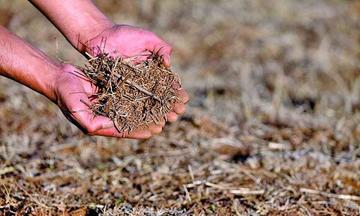Reportan migración en Potosí por sequía que afecta al agro