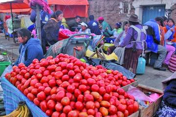 Las verduras y hortalizas tienen un comportamiento errático.