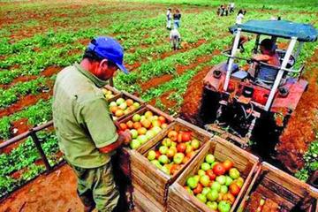 Santa Cruz es el principal Departamento exportador 