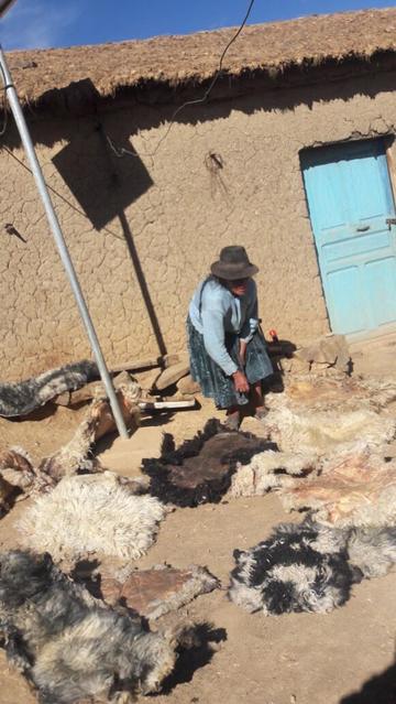 Una mujer recupera los cueros de los animales muertos.