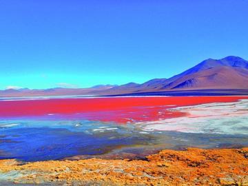 Ya llegaron 120 mil turistas a visitar la Laguna Colorada