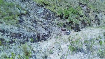 Maestros mueren en accidente de transito