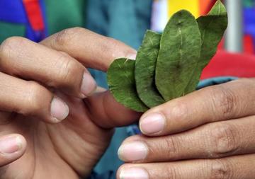 Comisión de Diputados aprueba un proyecto de ley del acullico