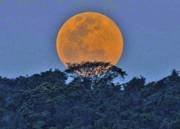 Ayer se  observó el fenómeno de la superluna