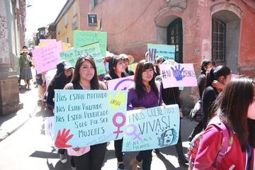 Las mujeres  potosinas piden que se cumpla la ley 348