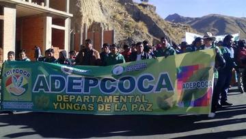 Adepcoca rechaza reunirse con Cocarico por Ley de Coca