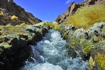 El Gobierno sostiene que el agua pasa desde Bolivia hacia Chile a través de unos canales artificiales.