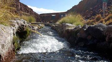 Bolivia sostiene que estudios de Chile del Silala son errados