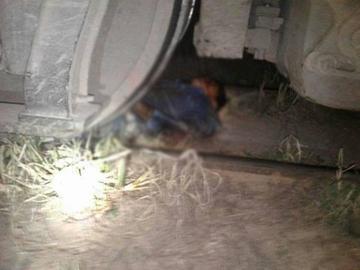 Nacen cóndor y flamencos en el zoológico de La Paz