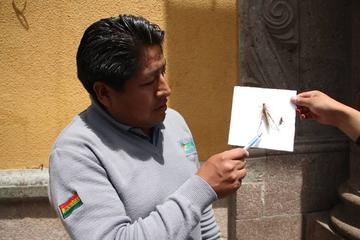 El director del Senasag muestra un saltamontes y una langosta.