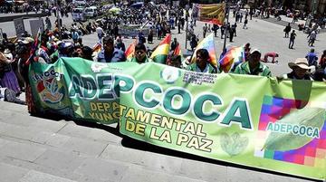Rechazan que se legalice “tanta coca” en el Chapare del trópico de Cochabamba.