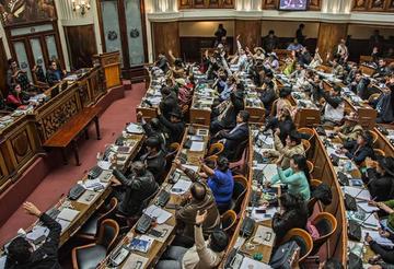 La cámara de Diputados aprueba la ley de la coca