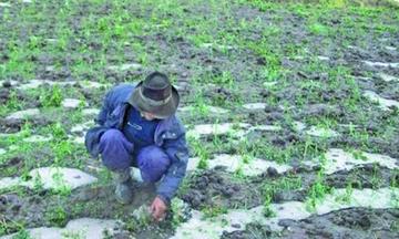 Más de 300 comunidades son afectadas por fenómenos