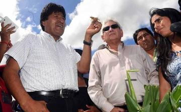 El Gobierno confía que controlará la plaga de langostas en 15 días