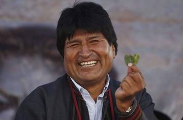 Evo consolida la ampliación de las plantaciones de hoja de coca