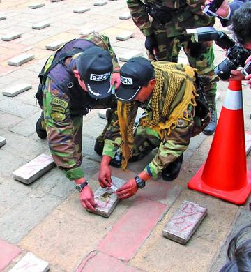 Felcn incauta 280 kilos de marihuana en Nor Lípez
