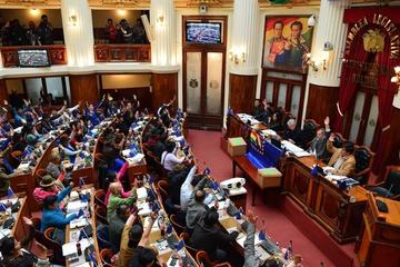 La Cámara de Diputados aprobó la propuesta que será la encargada de industrializar el metal alcalino.