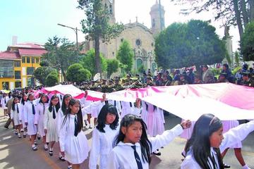 La unidad educativa José Enrrique Viaña.