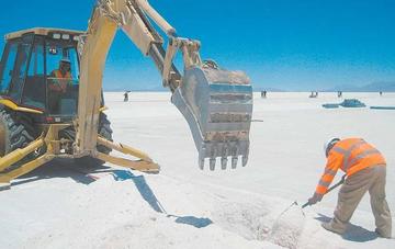 Hay 26 empresas que están interesadas en edificar la planta de litio