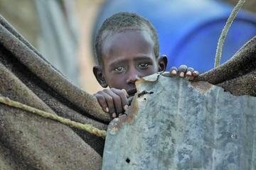 Acnur alerta muertes masivas en países de África por hambre