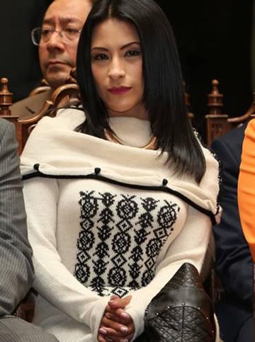 Impuesto  al artista se queda  pendiente