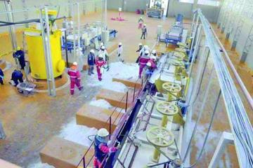 Bolivia pretende cambiar la matriz energética con energía limpia y a precio justo.