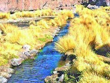 Un estudio ratifica que las aguas del manantial Silala sí son bolivianas