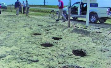 En Uruguay se tendrá observatorio de  las huellas de dinosaurios halladas