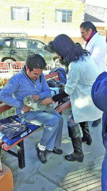 Campaña antirrábica llega  al 70 % en el Departamento