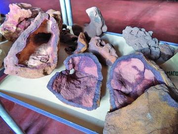 Las piedras de la muestra con extraños colores y formas.