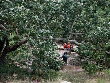 Registran, al menos, nueve muertos por inundación en Arizona