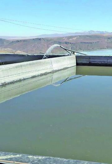 El agua que entra a las piscina de los ingenios es permanente.