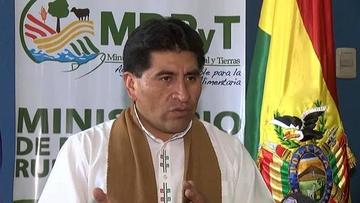 El Gobierno admite que la coca excedentaria es desviada al narcotráfico
