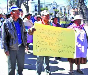 La marcha de los comunarios llegó hasta el centro citadino.