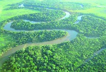 En la reserva la fauna es muy diversa y existen 402 especies de flora.