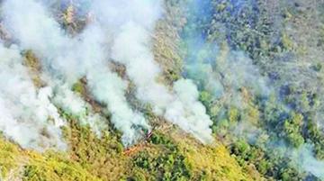 Controlan el incendio de Sama en Tarija que deja dos muertos