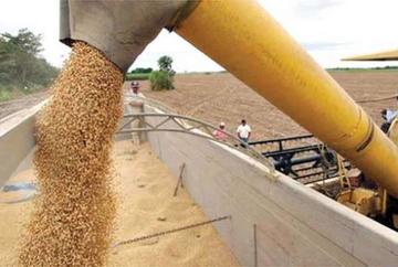 Gobierno y empresarios discrepan por producción