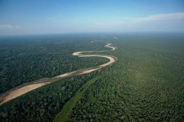 El Territorio Indígena y Parque Nacional Isiboro-Secure es un área protegida de Bolivia.