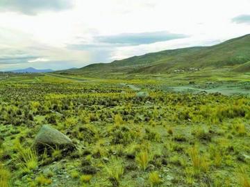 Nace demanda social de expropiar tierras para ampliar el aeropuerto