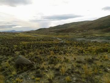 Impulsan expropiación de tierras de la comunidad de Teja Tambo 