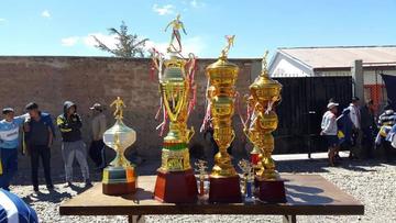Los trofeos entregados a los ganadores.