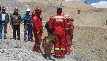 Prevén que los perros amaestrados harán el rastreo hoy de las personas desaparecidas.