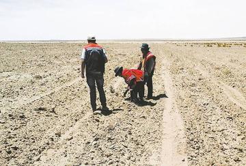 Las lluvias riegan suelo potosino y hay buen augurio