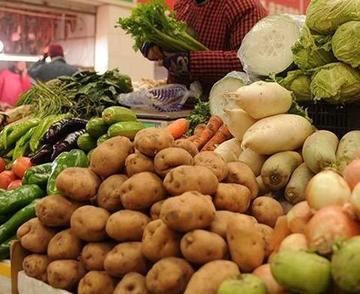 Trabajan en adecuación de semillas para sequía