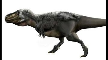 Hallan que brazos del T-rex eran útiles