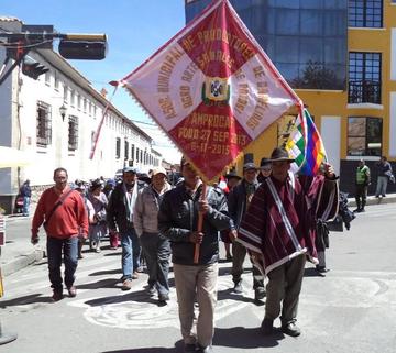 Productores exigen ley de camélidos