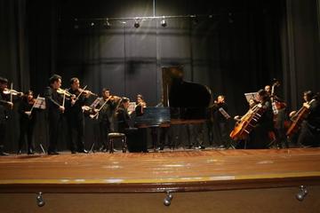 Los profesionales músicos ofrecieron un gran concierto.