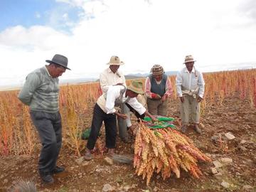 Los productores lamentan la reducción del precio.