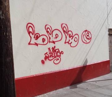 Exigen sanción al pintado de grafitis 