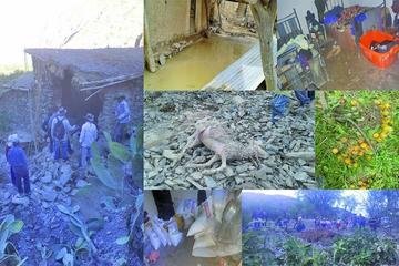 Las gráficas muestran el grado de afectación e incluso hay animales muertos.